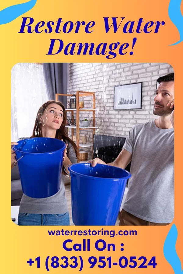 water restoration Classic Flood Damage Services Belleville